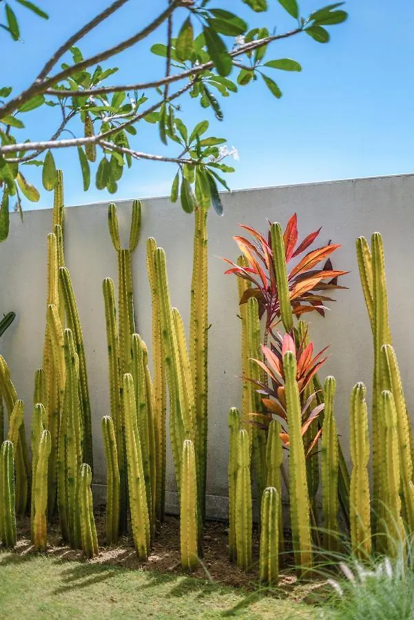 Villa Bull House Amazing 6 Bedrooms Contemporary Villa In Seminyak